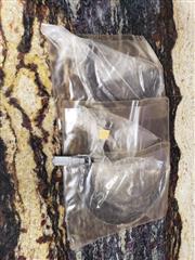 Starrett No. 436 Outside Micrometer Calipers, Set Of 3, 3-4”, 4-5”, 5
